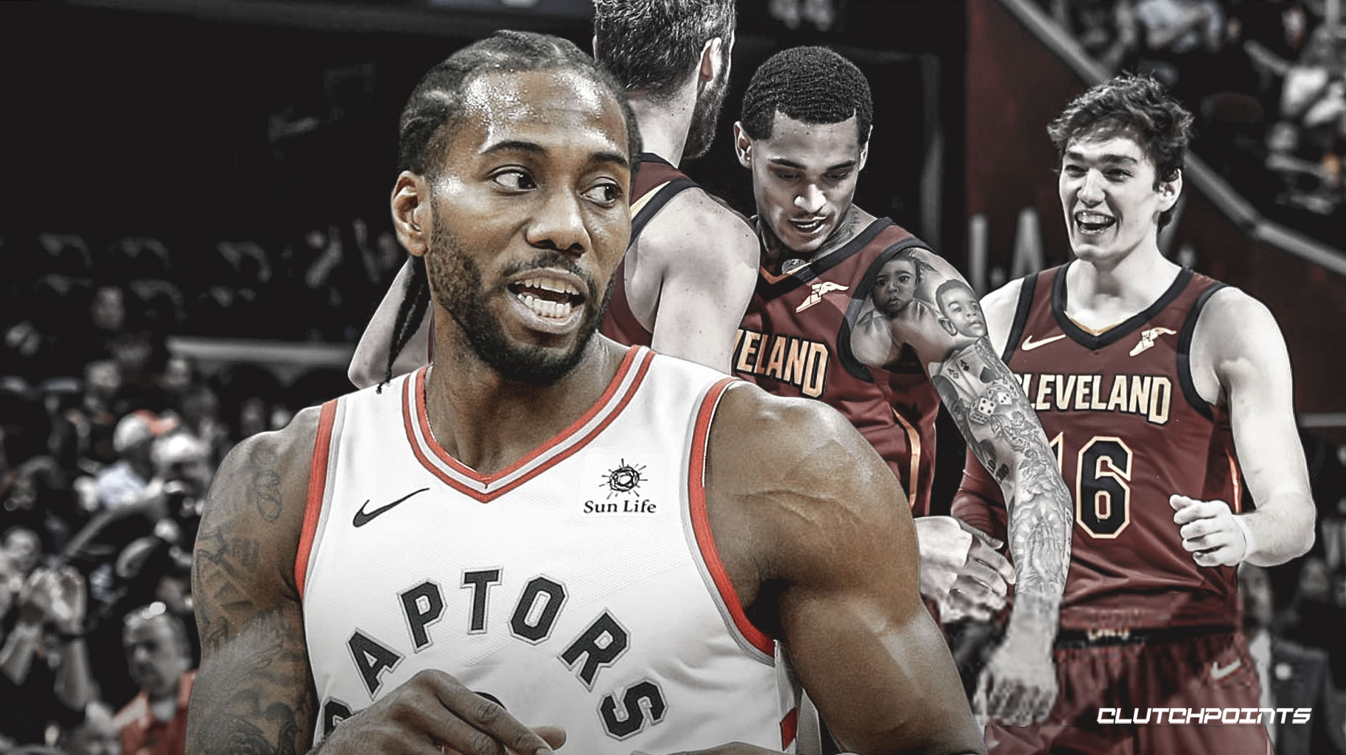 卫更多选择 卫更多选择